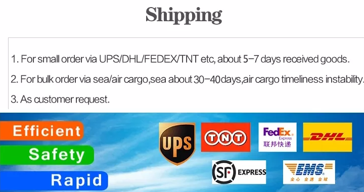 express shipping service
